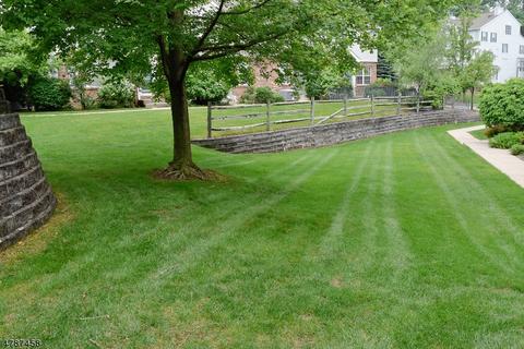 401 Appleton Way, Whippany, NJ 07981 photo 14