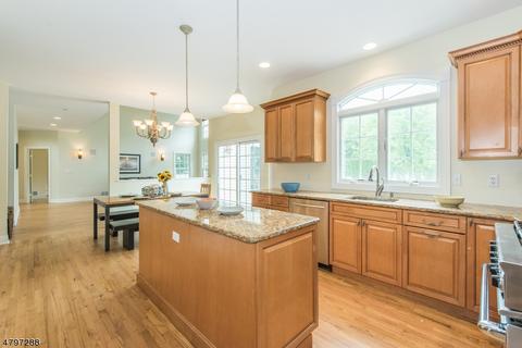 4 Ginamarie Ct, Wayne, NJ 07470 photo 9