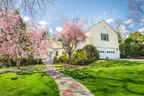 7 Reeve Cir, Millburn, NJ 07041 photo 1