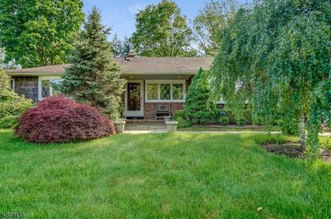 31 Midvale Dr, Springfield, NJ 07081 photo 1