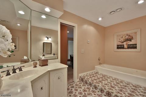 4 Cezar Ct, Wayne, NJ 07470 photo 15