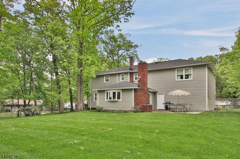 4 Cezar Ct, Wayne, NJ 07470 photo 25