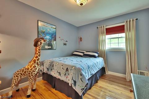4 Cezar Ct, Wayne, NJ 07470 photo 19
