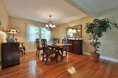 4 Cezar Ct, Wayne, NJ 07470 photo 5
