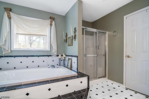 18 E Logan Rd, Randolph, NJ 07869 photo 20