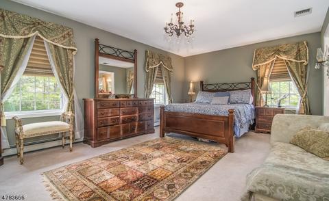 18 E Logan Rd, Randolph, NJ 07869 photo 18
