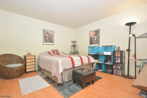 6 Coniston Ct, Wayne, NJ 07470 photo 10