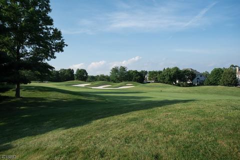9 Buck Rdg, Skillman, NJ 08558 photo 4