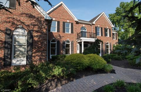 9 Buck Rdg, Skillman, NJ 08558 photo 1