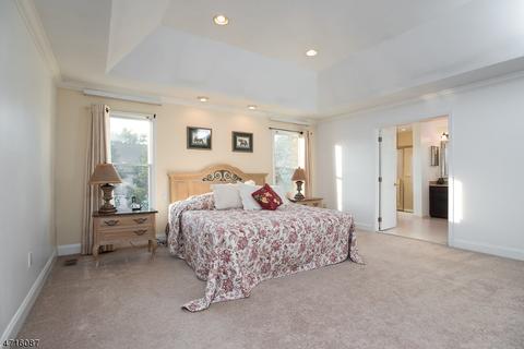 9 Buck Rdg, Skillman, NJ 08558 photo 19