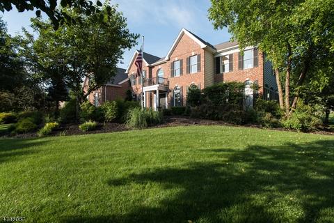 9 Buck Rdg, Skillman, NJ 08558 photo 25