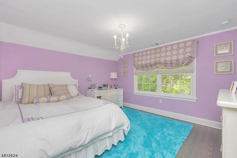 19 Colony Dr, Summit, NJ 07901 photo 20