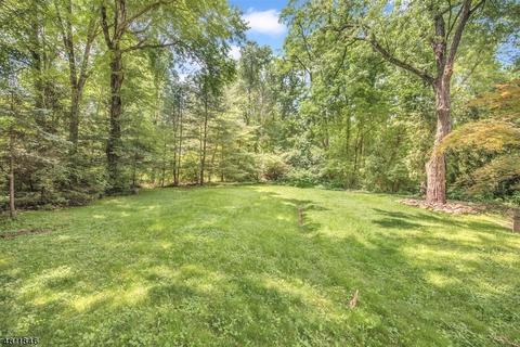 14 Mount Vernon Ave, Summit, NJ 07901 photo 19