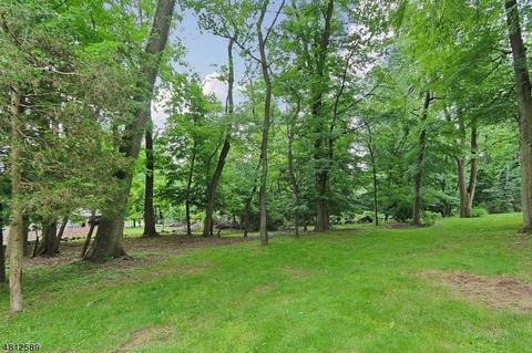 96 Johnston Drive Ext, North Plainfield, NJ 07060 photo 25