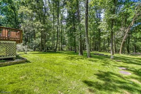 32 Pin Oak Rd, Montgomery, NJ 08558 photo 23