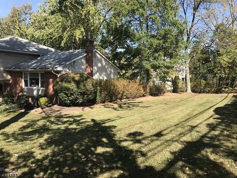 1 Beechtree Rd, Roseland, NJ 07068 photo 19