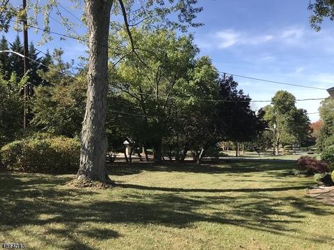 1 Beechtree Rd, Roseland, NJ 07068 photo 10