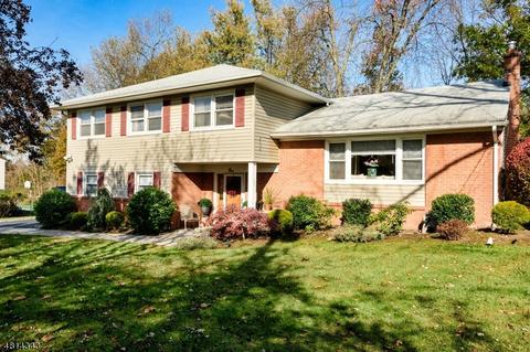 1 Beechtree Rd, Roseland, NJ 07068 photo 1