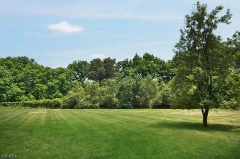 16 Mountainside Rd, Mendham, NJ 07945 photo 25