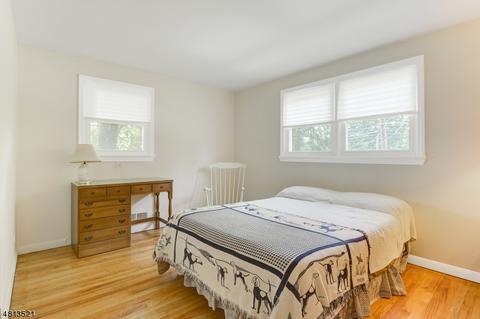 573 Mountain Ave, Springfield, NJ 07081 photo 9