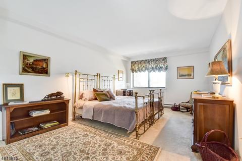 1 Euclid Ave Apt 5 E #5E, Summit, NJ 07901 photo 10