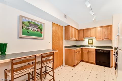 1 Euclid Ave Apt 5 E #5E, Summit, NJ 07901 photo 7