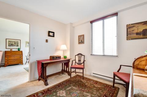 1 Euclid Ave Apt 5 E #5E, Summit, NJ 07901 photo 6