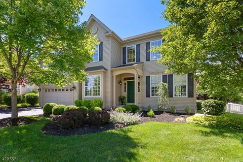 61 Crestview Dr, Clinton, NJ 08809 photo 1