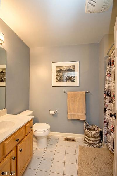 135 E Mountain Rd, Sparta, NJ 07871 photo 21