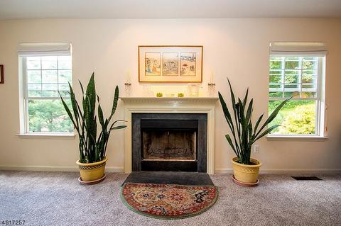 135 E Mountain Rd, Sparta, NJ 07871 photo 9