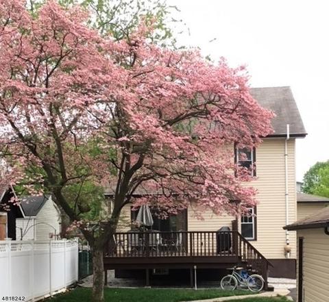 99 Elm Pl, Nutley, NJ 07110 photo 2