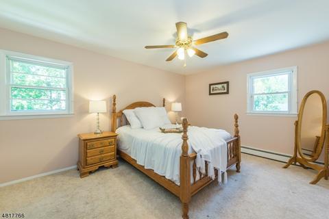 46 Stalter Dr, Wayne, NJ 07470 photo 14