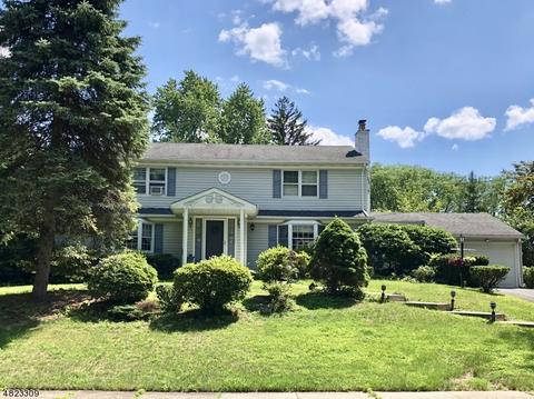 36 Perrin Dr, Wayne, NJ 07470 photo 1