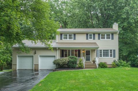 75 Beech Rd, Randolph, NJ 07869 photo 1