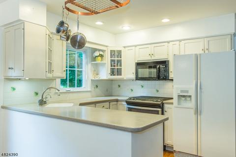 75 Beech Rd, Randolph, NJ 07869 photo 8