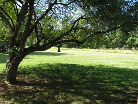 25 Deerpath Rd, Flemington, NJ 08822 photo 23