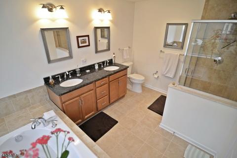11 Wild Iris Way, Hackettstown, NJ 07840 photo 15