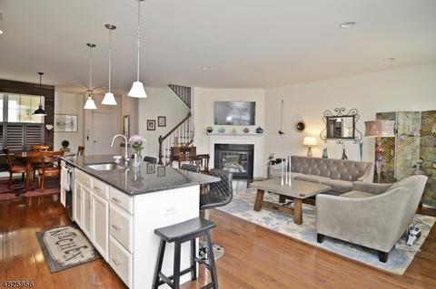 11 Wild Iris Way, Hackettstown, NJ 07840 photo 1