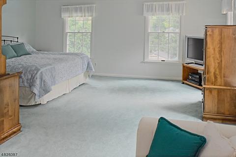 4 Chestnut Dr, Wayne, NJ 07470 photo 13