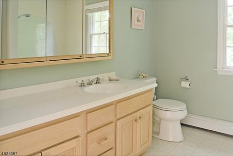 4 Chestnut Dr, Wayne, NJ 07470 photo 14