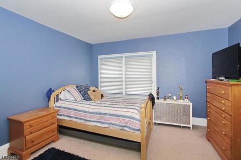 19 Maple Ave, Montville Twp., NJ 07058 photo 15