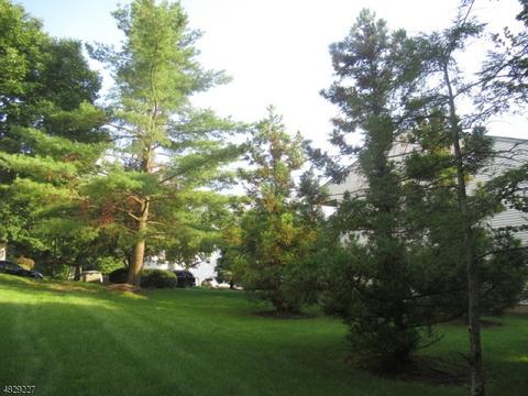 14 Bowfell Ct, Wayne, NJ 07470 photo 16