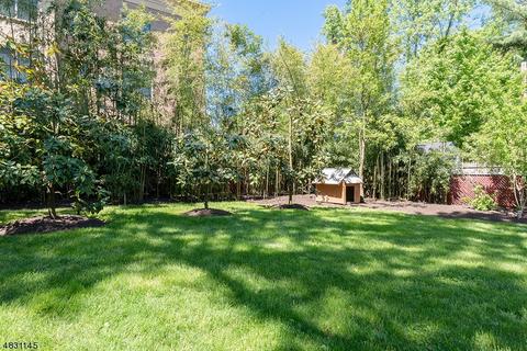 17 Plain St, Summit, NJ 07901 photo 5