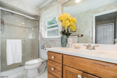 12 Peslin Ct, Wayne, NJ 07470 photo 17