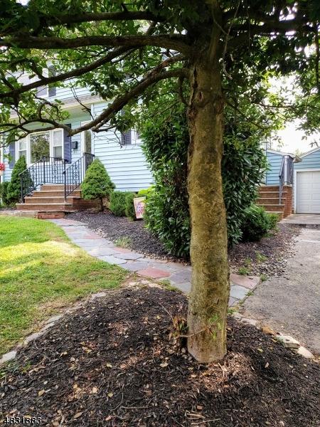 321 Tremont Ave, North Plainfield, NJ 07063 photo 3