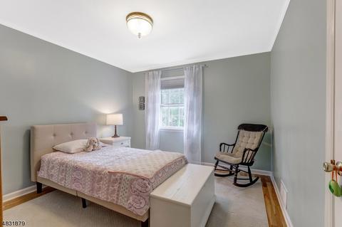 3 Joanna Way, Summit, NJ 07901 photo 18