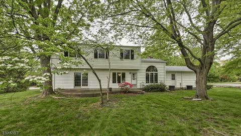 117 Webster Dr, Wayne, NJ 07470 photo 3
