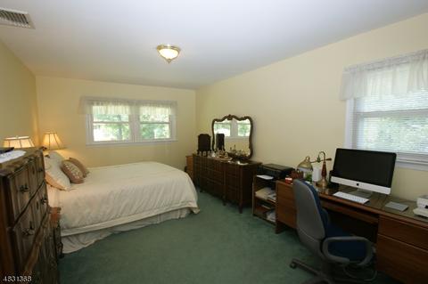 13 Gathering Rd, Pine Brook, NJ 07058 photo 17
