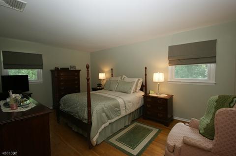 13 Gathering Rd, Pine Brook, NJ 07058 photo 15