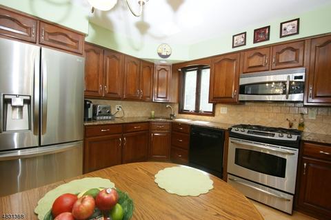 13 Gathering Rd, Pine Brook, NJ 07058 photo 8